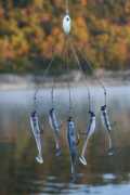 Link Picture