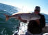 red-fish