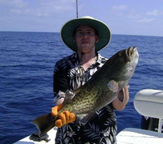 And Another Cedar key Grouper