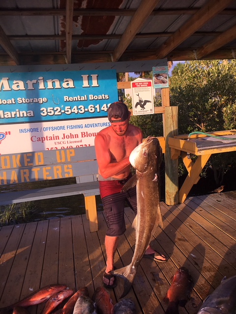 A mighty Cedar Key fisherman with a monster Cobia and some nice mango snapper
