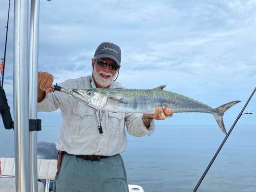 D says the Kingfish are back