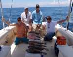 A Fishing Party Out of Cedar Key and Their Catch of Grouper