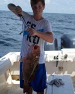 And Another Cedar Key Grouper