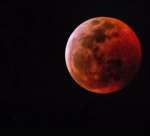 Blood wolf moon picture from Cedar Key Florida