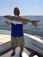 Monster Cedar Key, Florida Redfish