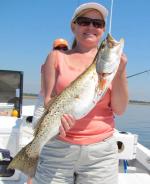 stein-trout-032111.jpg