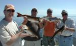 4_guys_steinhatchee_reds.jpg