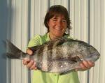sheephead1.jpg