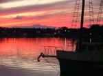 Filename=boats_in_river_041.jpg
Filesize=26KiB
Dimensions=520x390
Date added=Jul 27, 2011 boats_in_river_041.jpg