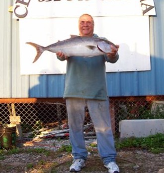 Cedar Key Amberjack