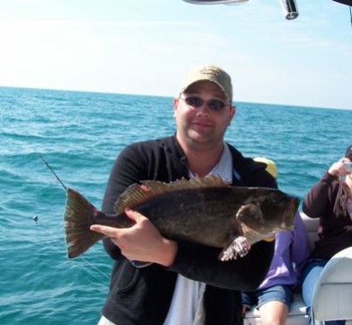 Sunny day, nice grouper