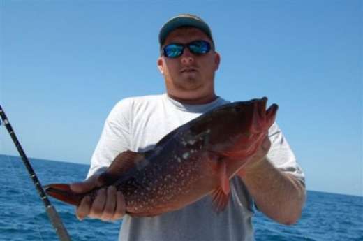 Another Strawberry Grouper