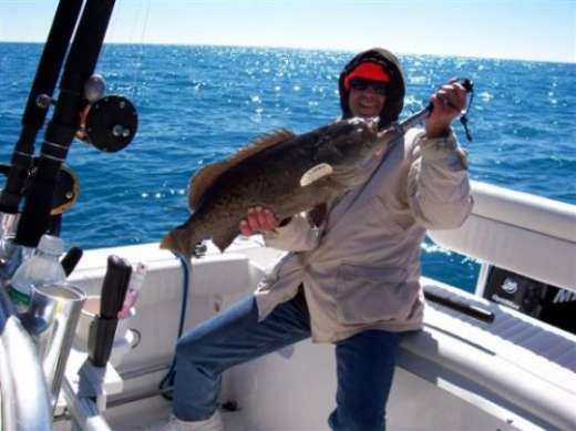 A Cedar Key cold weather grouper