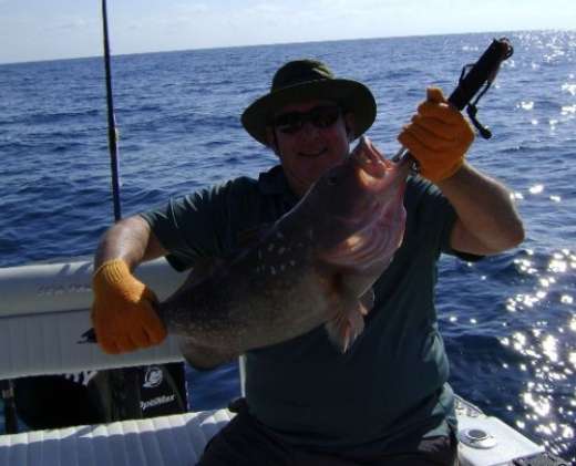 And Another Cedar key Grouper
