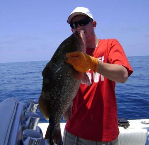 And Another Cedar key Grouper
