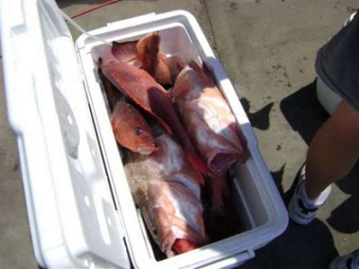 After a Hooked Up Charters trip