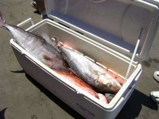 After a Hooked Up Charters trip