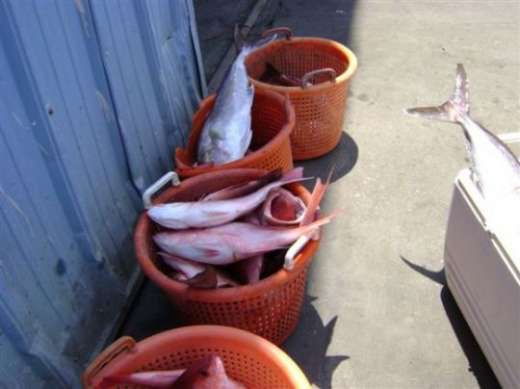 After a Hooked Up Charters trip