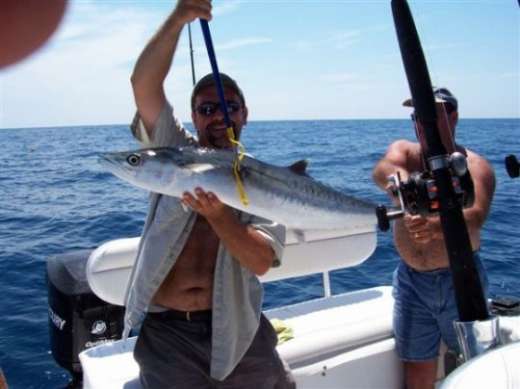 A King Fish To Make Life Fun