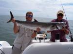 Another King Fish