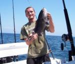 A Cedar key Grouper
