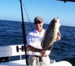 And Another Cedar key Grouper