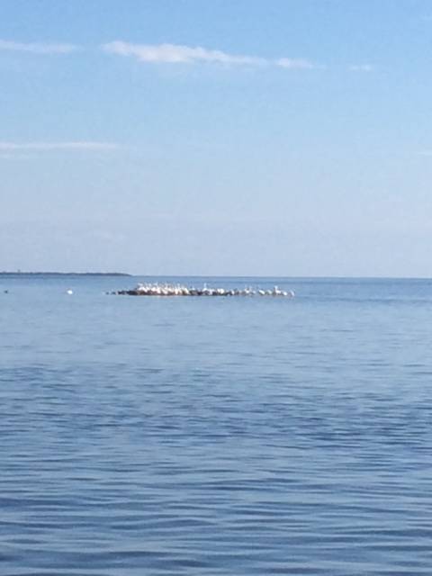 Locals Fighting For A Place To Rest