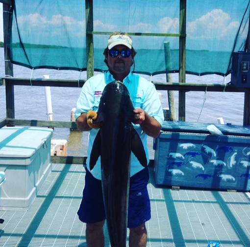 Captain John with 45 lbs Cobia