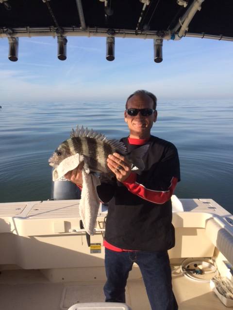 Dave Storm with a nice Cedar Key Sheepshead