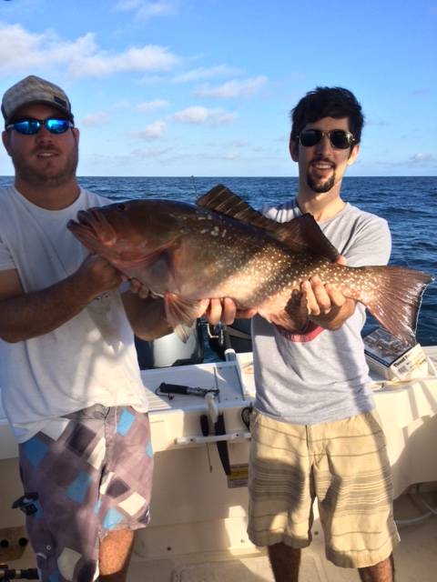 Nice Red Grouper released unharmed
