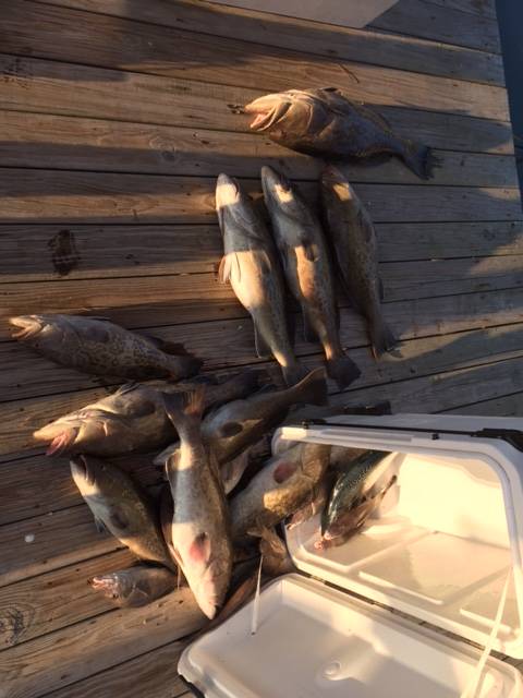 End of the season Gag extravaganza 