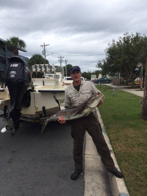 Whopping 35 lbs Cedar Key Cobia