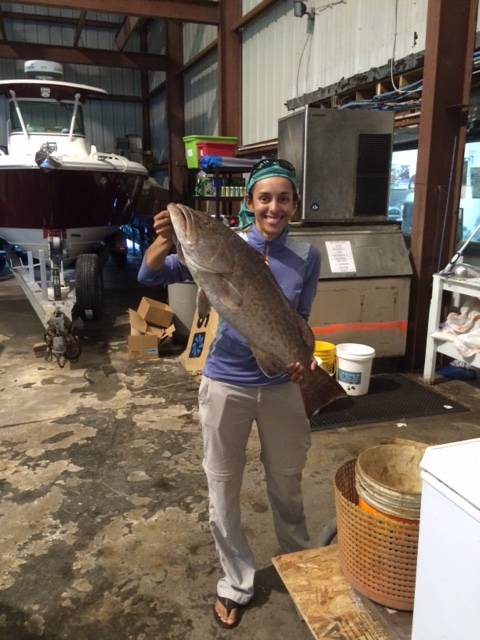 A 14.5 lbs Cedar Key Gag Grouper