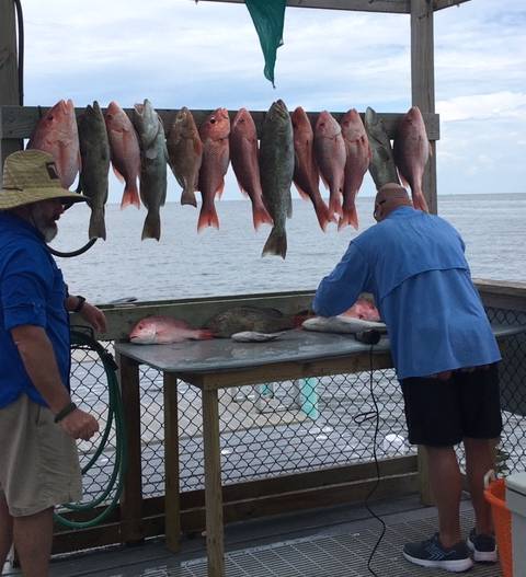 SOMBODYS EATING GOOD TONIGHT