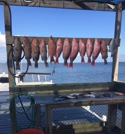 Cedar Key Red Grouper day with Captain John of Hookedup Charters