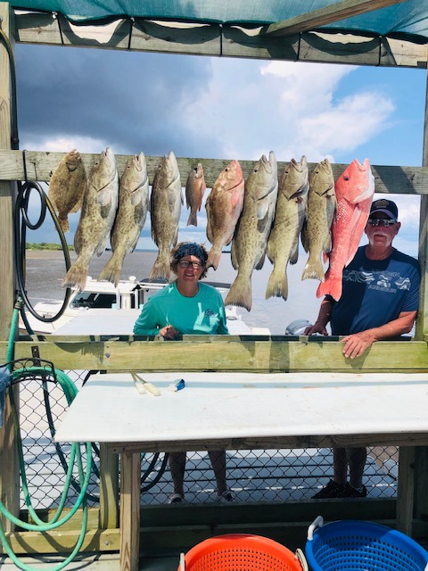 Carols crew slayed them today in Cedar Key