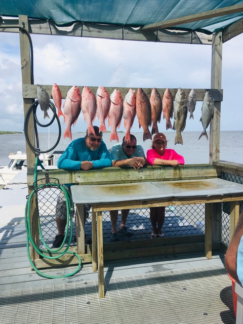 They slayed them, Red Snapper & Grouper