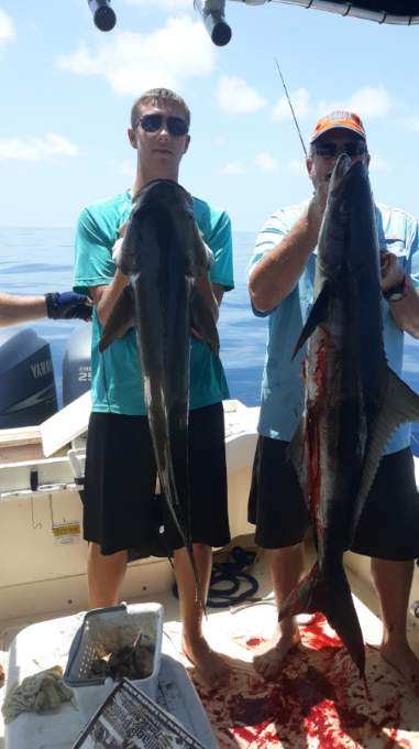 Two huge Cobia taken on Hookedup Charters