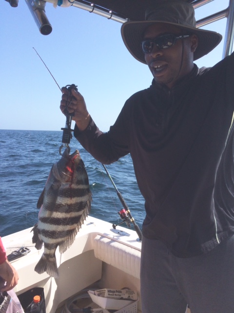 First sheepshead, nice