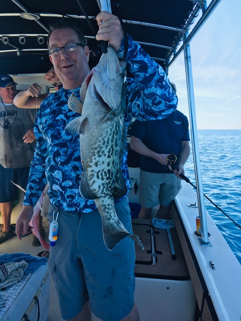 Nice Cedar Key Gag Grouper