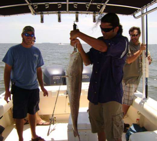 Showing Off A Cedar Key Redfsih On A Recent Trip With Hookedup Charters