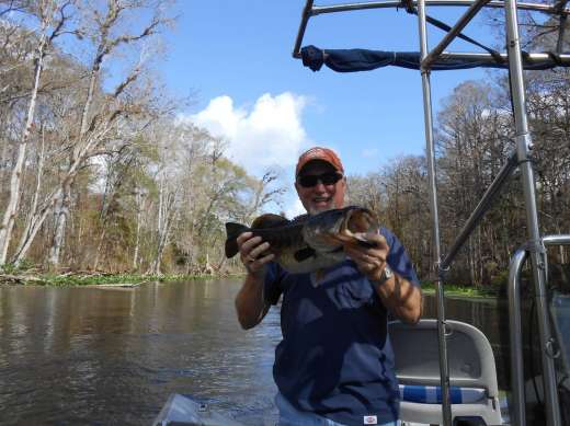 Click to view full size image
==============
Wayne Woodward With Another Ocklawaha Largemouth
Caught with Slick Charters
Keywords: Large mouth,Bass,Ocklawaha,florida Wayne Woodward With Another Ocklawaha Largemouth
Caught with Slick Charters
Keywords: Large mouth,Bass,Ocklawaha,florida
