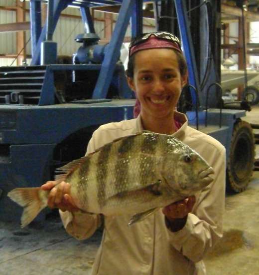The Mowery Crew with more sheepshead