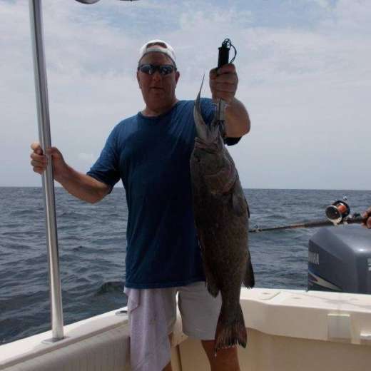 Cedar Key Grouper