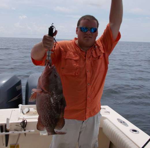 Another Cedar Key Grouper