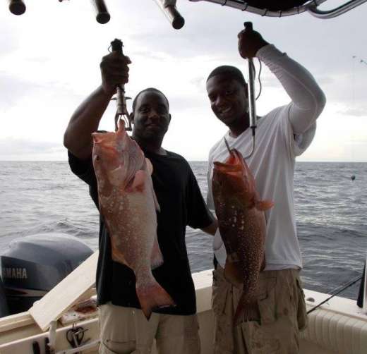 Cedar Key Grouper