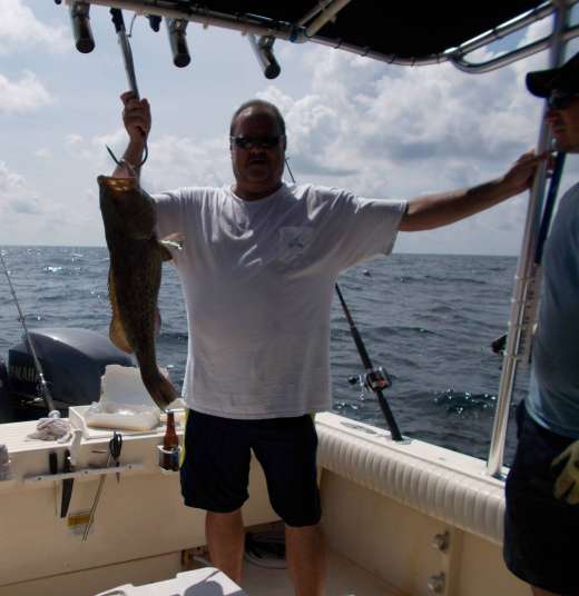Cedar Key Grouper