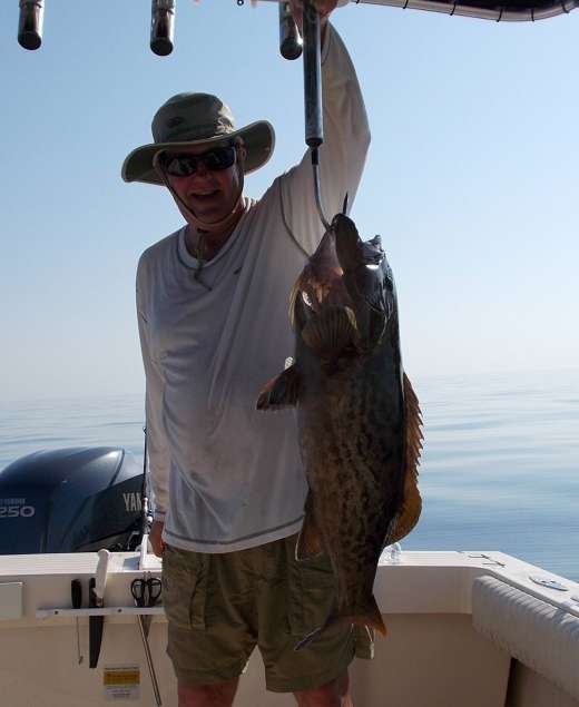 Ceder Key Gag Grouper