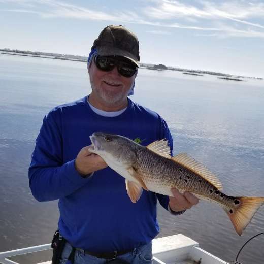 19" Spotted Redfish  caught with Captain Kyle