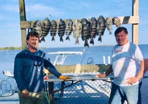 Sheepshead Caught On Scouting Trip